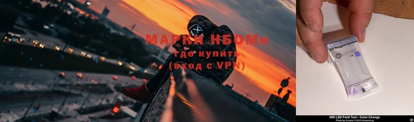 ешки Белокуриха