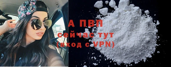 spice Беломорск