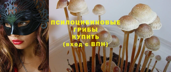 spice Беломорск