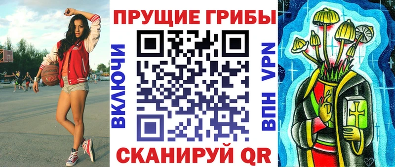 закладки  Маркс  Галлюциногенные грибы GOLDEN TEACHER 